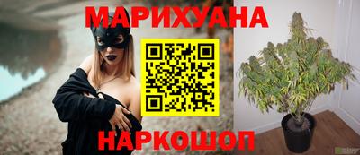 прущая мука Ачхой-Мартан