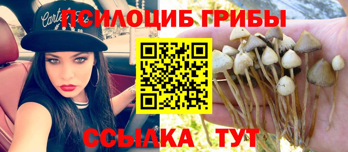 Сафоново  купить наркотики цена  Вход с VPN  Галлюциногенные грибы MAGIC MUSHROOMS 
